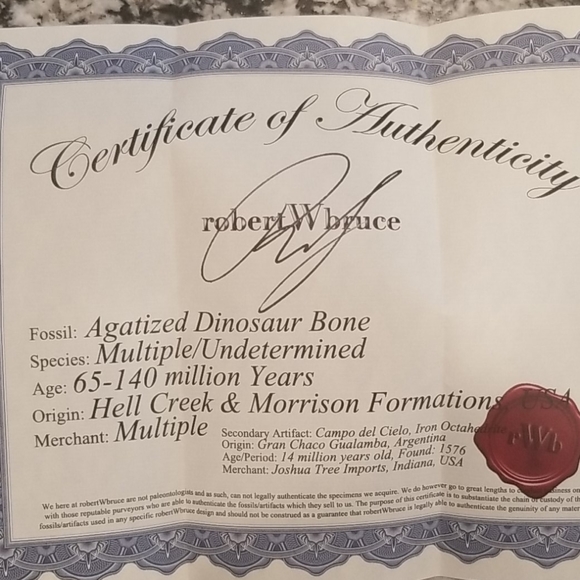 Meteorite Dinosaur Bone Rose Gold ring - Picture 2 of 3